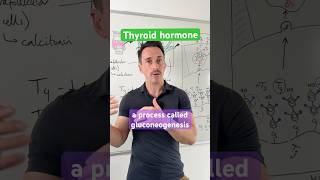 The Role of #Thyroid Hormone