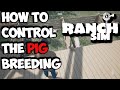 RANCH SIM HOW TO PREVENT PIGS FROM OVERBREADING