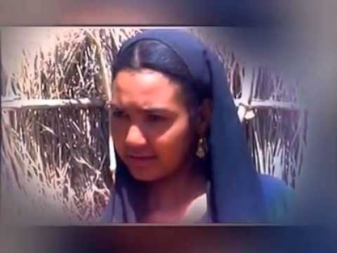 الليمونة حرم النور