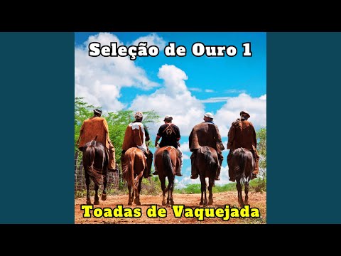 Vaca Juriti do Sergipe