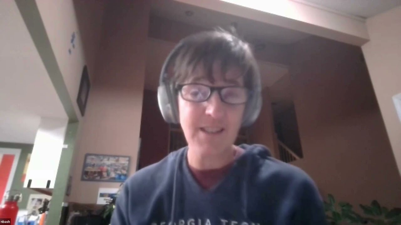 Building Collaborations to Better Serve Adults in Underserved Regions of Georgia | TFEBI Webinar