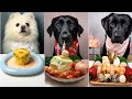 Epic Dog Food Challenge Black Labrador S Vs Pomeranian Gourmet Adventure Dog Eating Food