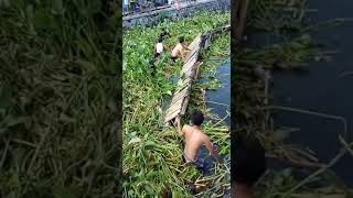 Download lagu Jembatan kayu ambruk ceblok mp3 Download lagu Jembatan kayu ambruk ceblok mp3