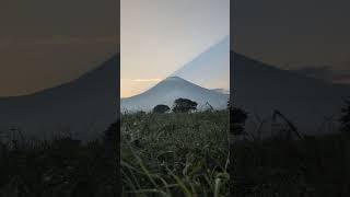 井出トマト農園 富士高原農場(とまとっぱら)の朝日、夜は20度で快適でした。