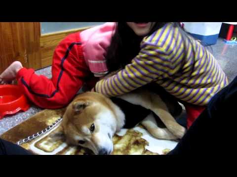 昨日姐妹來找果汁玩&果汁吹髮篇...(原發表者:果汁媽)(影片)