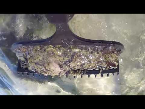 download lagu mp3 mp4 Shoreline Industries, download lagu Shoreline Industries gratis, unduh video klip Shoreline Industries