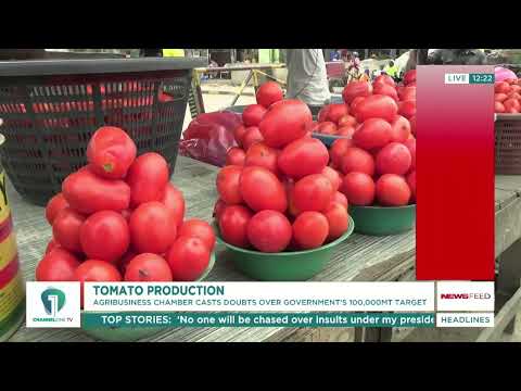 Ghana’s Tomato Supply Gap Could Near 400,000 Tonnes, Agribusiness Chamber Warns