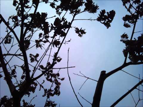 Mantsevich Dzenis - Late Autumn