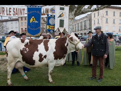 Getting Festive with Saint-Marcellin Cheese