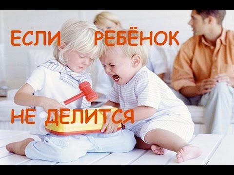 Ребёнок не хочет делиться игрушкой. Дневник мамы - психолога