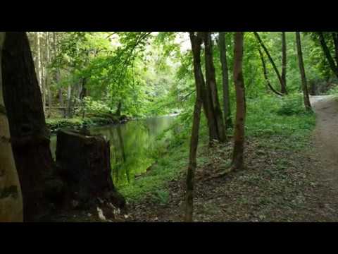 Naturparadies Gsteinigt   ( Arzberg im Fichtelgebirge )
