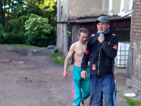 Walka Kogutów