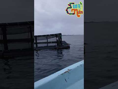 Vamos a extrañar estos días en El Estor, Izabal. 🇬🇹🌨🙌🏻