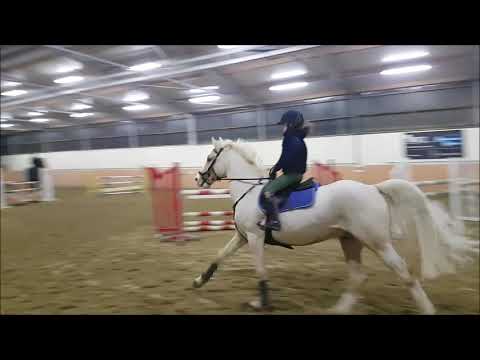 Malu (10) und Dancer - Springstunde am 05.02.2020