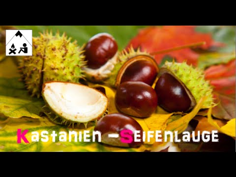 Kastanienseife - Waschmittel - Outdoorhygiene - Outdoor Bavaria HD/HQ