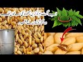 Gandum ko store Karne ka tarika|wheat storage tank|how to store wheat at home|badwal Desi vlog|