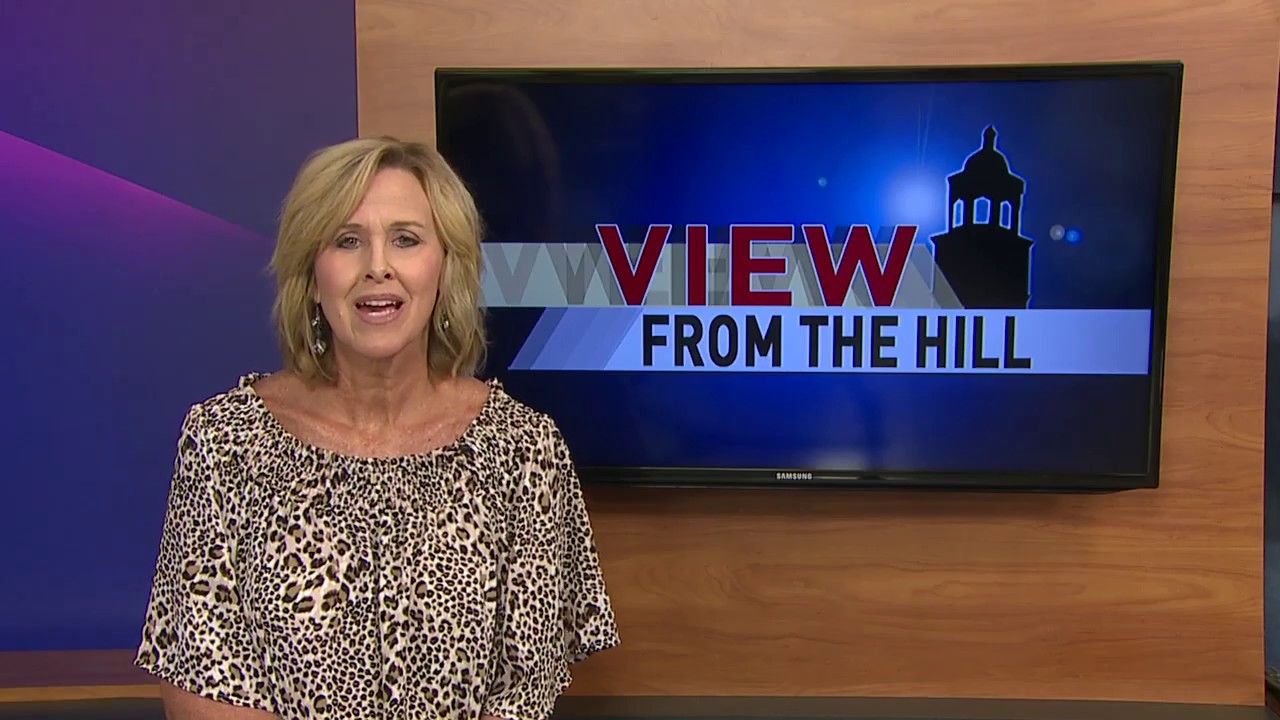 View from the Hill - Journey to the Vote Video Preview