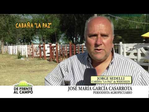 DE FRENTE AL CAMPO junto a CABAÑA "LA PAZ" de WERTHEIN - JORGE SEDELLI