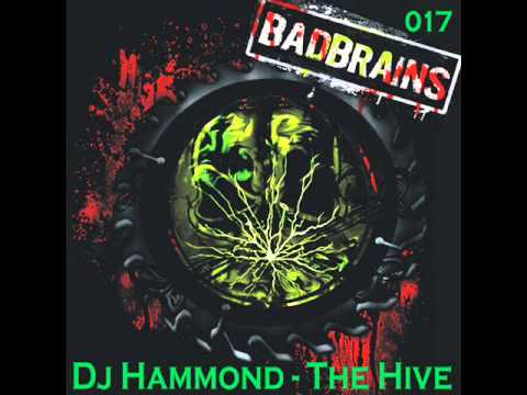 DJ Hammond - Schemers
