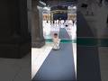 So Cute Boy In Makkah Mecca Madina Shorts
