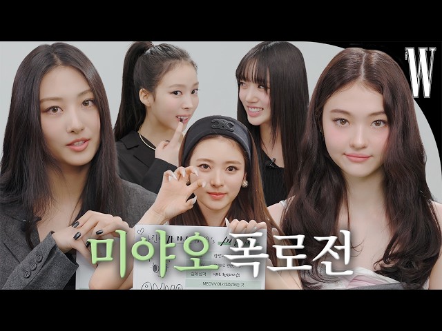 [ENG/JP] 저희 다른 이름 있어요🥹 미야오가 서로 쓰는 프로필🐈‍⬛ 아기 고양이들이 울지도 않고 잘하네요… by W Korea SDDEFAULT Thumbnail