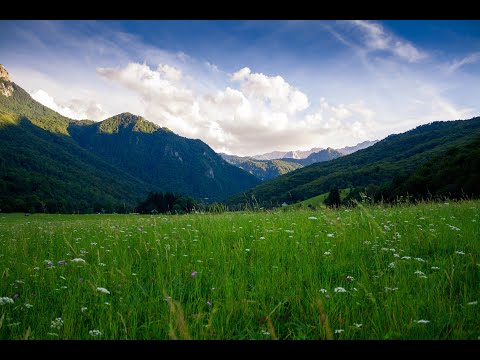 Air - Relaxing and Meditation Music | Yoga | Podcasts | Spa [NCM Release]