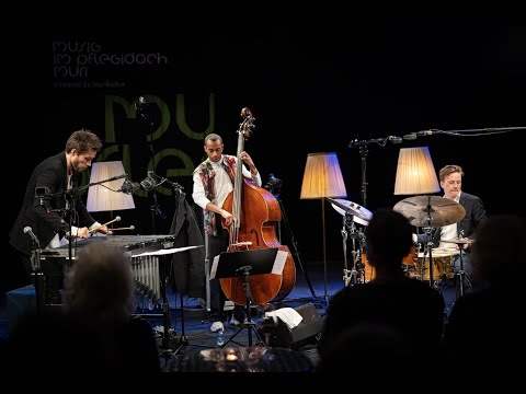 Simon Moullier Trio - "You Must Believe In Spring" @ musig im pflegidach, Muri