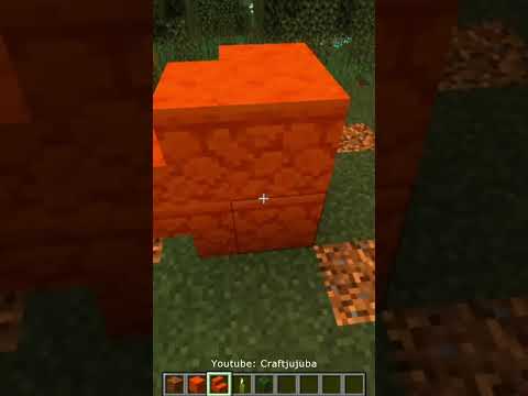 EPIC Minecraft Pumpkin! Insane Halloween Build!!