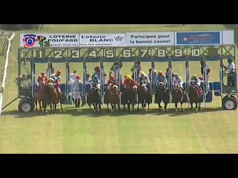 The Deanan Doyal Cup | Why Wouldn't Yew | S.Rama