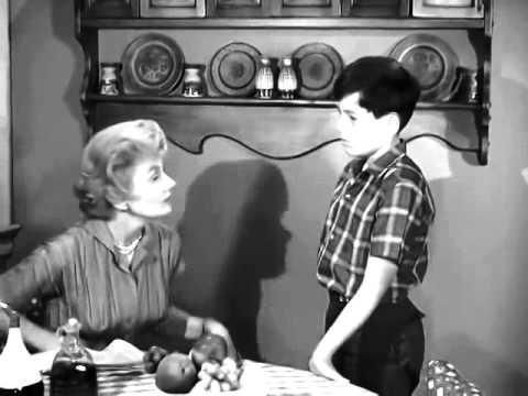 June Cleaver on womens changing roles in the 1960s