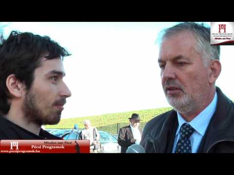 M6/M60-as autópálya avatás - Riport: Dr. Páva Zsolt és Dr. Szili Katalin | pecsiprogramok.hu