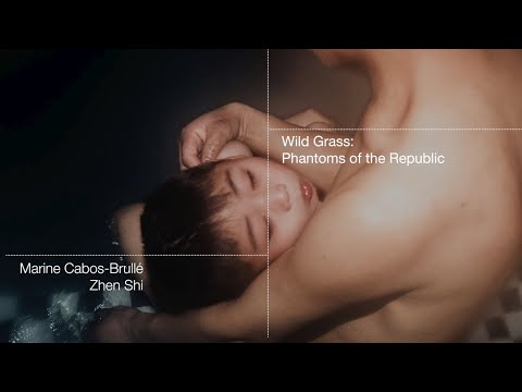 Wild Grass: Phantoms of the Republic — Photography of China (project video, 2020)