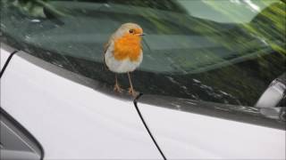 With all my strength by Emma Forman