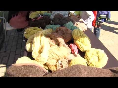 Vacht en Veren - aflevering 25: Schaapscheren op Boerderij Wolfslaar