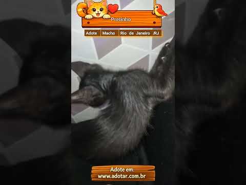 Vídeo de Pretinho