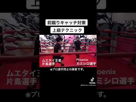 前蹴りキャッチ対策、上級者テクニック