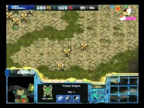 G1 Free vs Snow @ Stars vs Entus