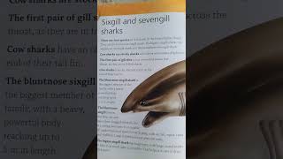 Download lagu What are SIXGILL and SEVENGILL sharks? mp3