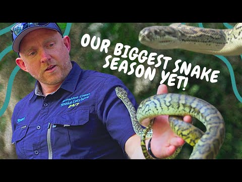 Stu Has Some NEAR MISSES On First Snake Catch Of The Season!