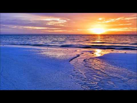 Tarmo Tammel - Playa Del Sol (Original Mix) ASOT 673
