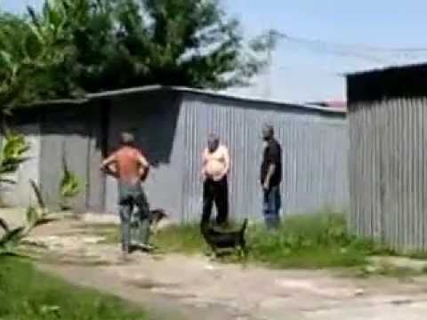 wDw PatoS (Czakens vs Motyl)