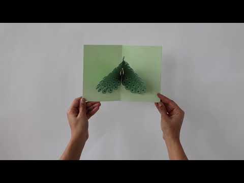 Dazzling Peacock Notecards - Set of 6