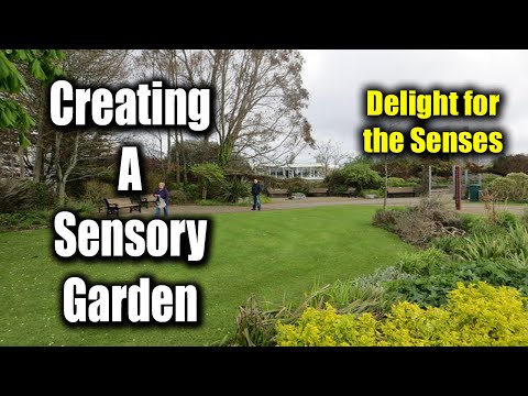 Creating a Sensory Garden: Delight for the Senses