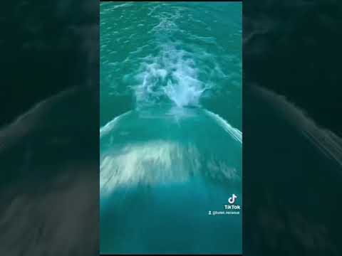 Video de Hotel Miramar