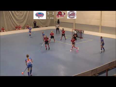 ATSM Classic-SB-Pro/LoSB maalikooste, 11.02.19, Spiral-halli, Tampere