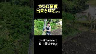 ついに捕獲出来たけど...