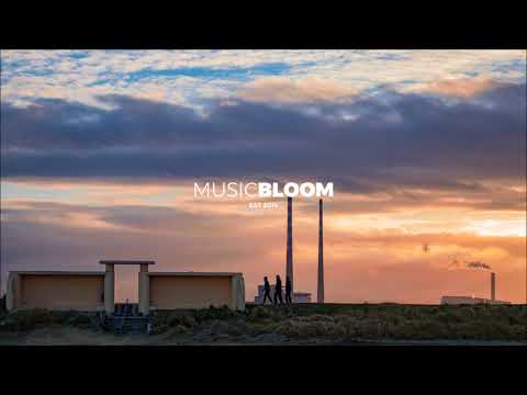 Mark Laird - Show Em'