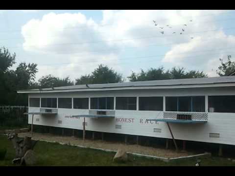 HONEST RACE- SOSIRE IASI - 300 Km