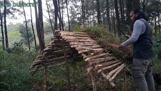 bushcraft trip and solo camping-melintasi kebun kopi sebelum bercamping di hutan pinus yang tenang
