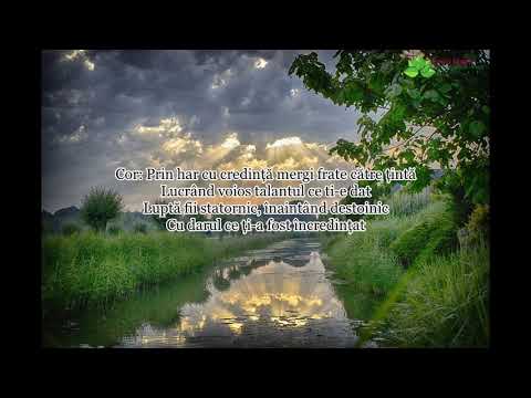 Cornel Sava “În zilele din urmă”